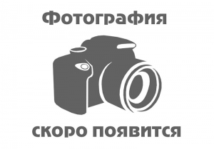 Секатор садовый профессиональный FISKARS